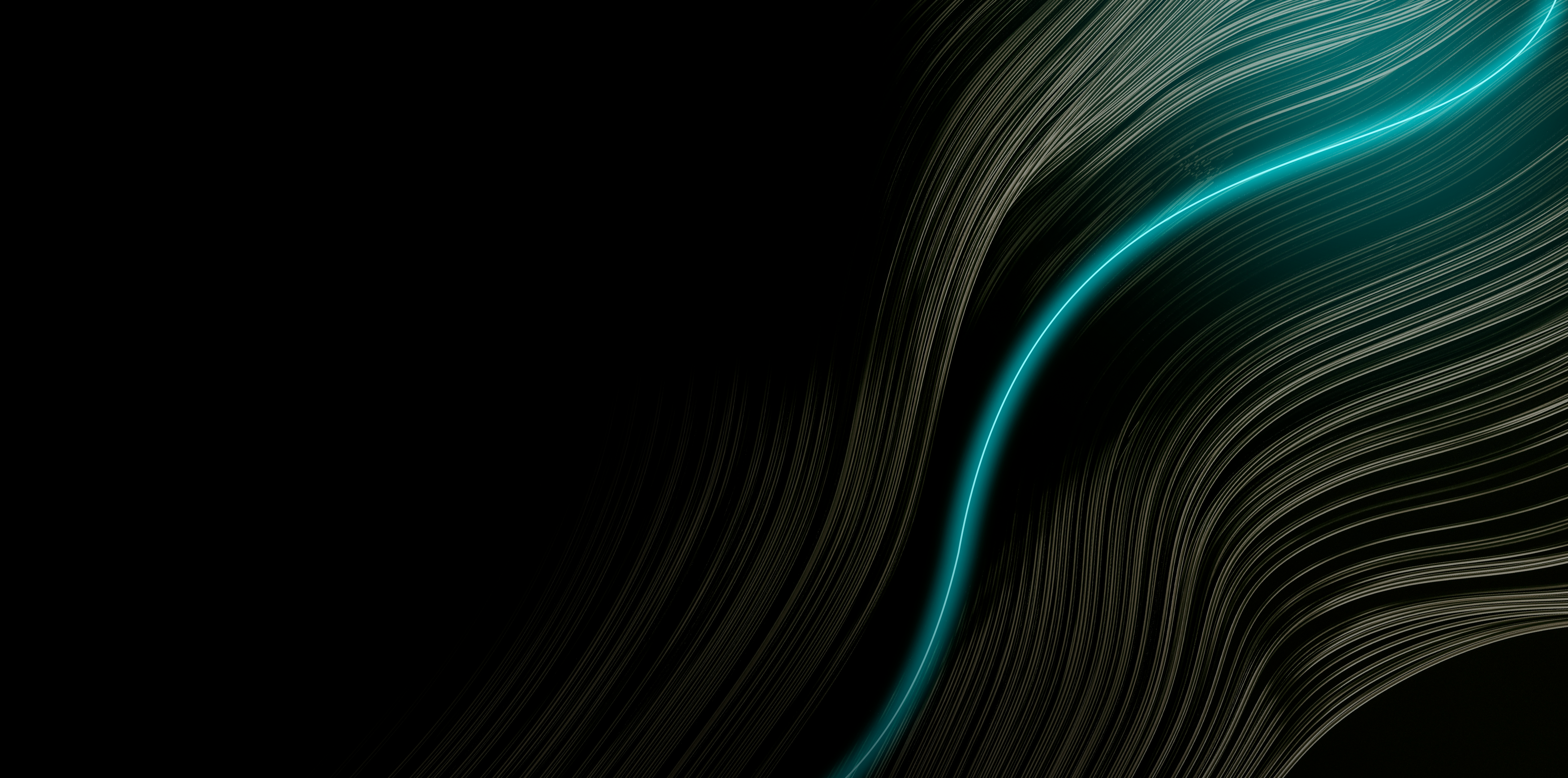 Creativity First — Steinberg | Steinberg